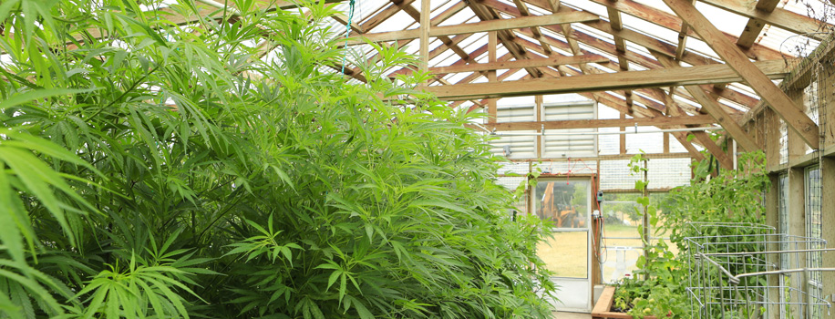 Security Solutions for Apartments in Austin, LA